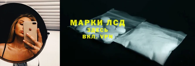 крисы Майский