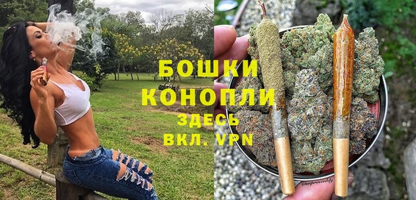 крисы Майский