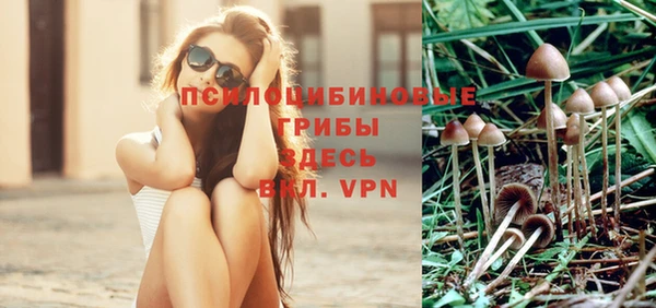 не бодяженный Магадан